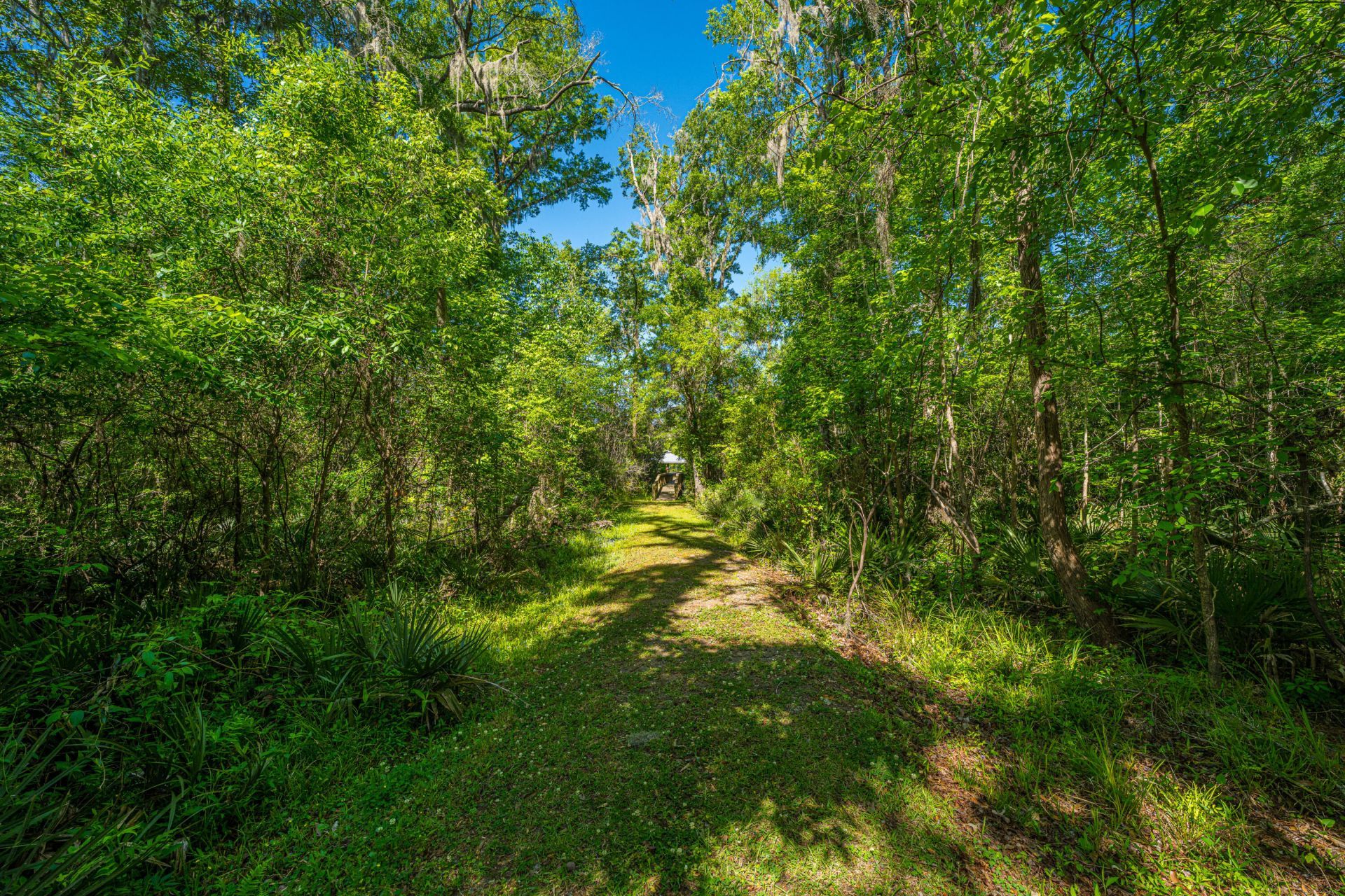 9434 Savannah Highway Photo 42