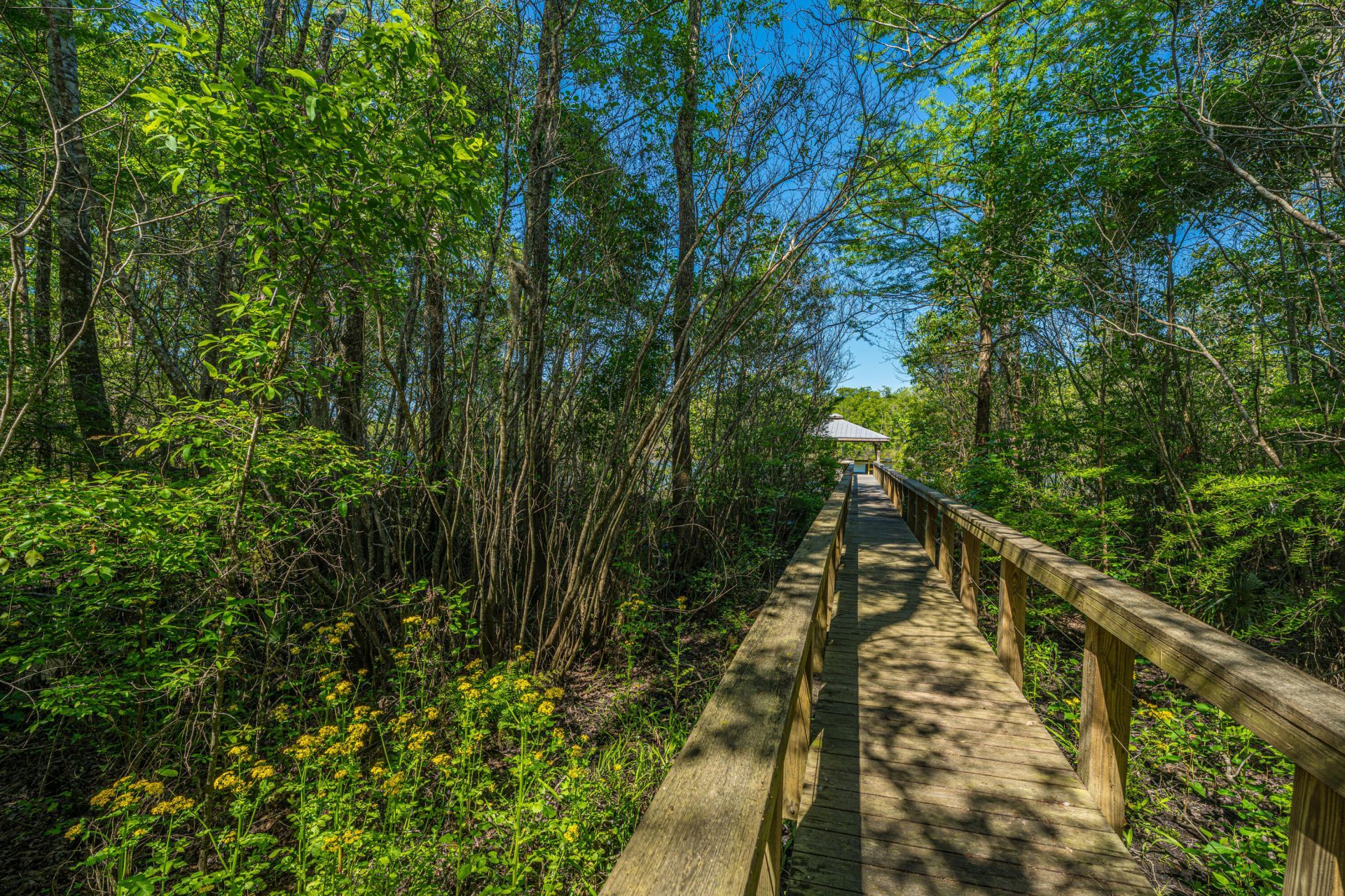 9434 Savannah Highway Photo 43