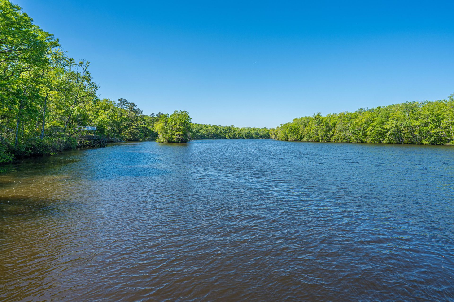 9434 Savannah Highway Photo 49