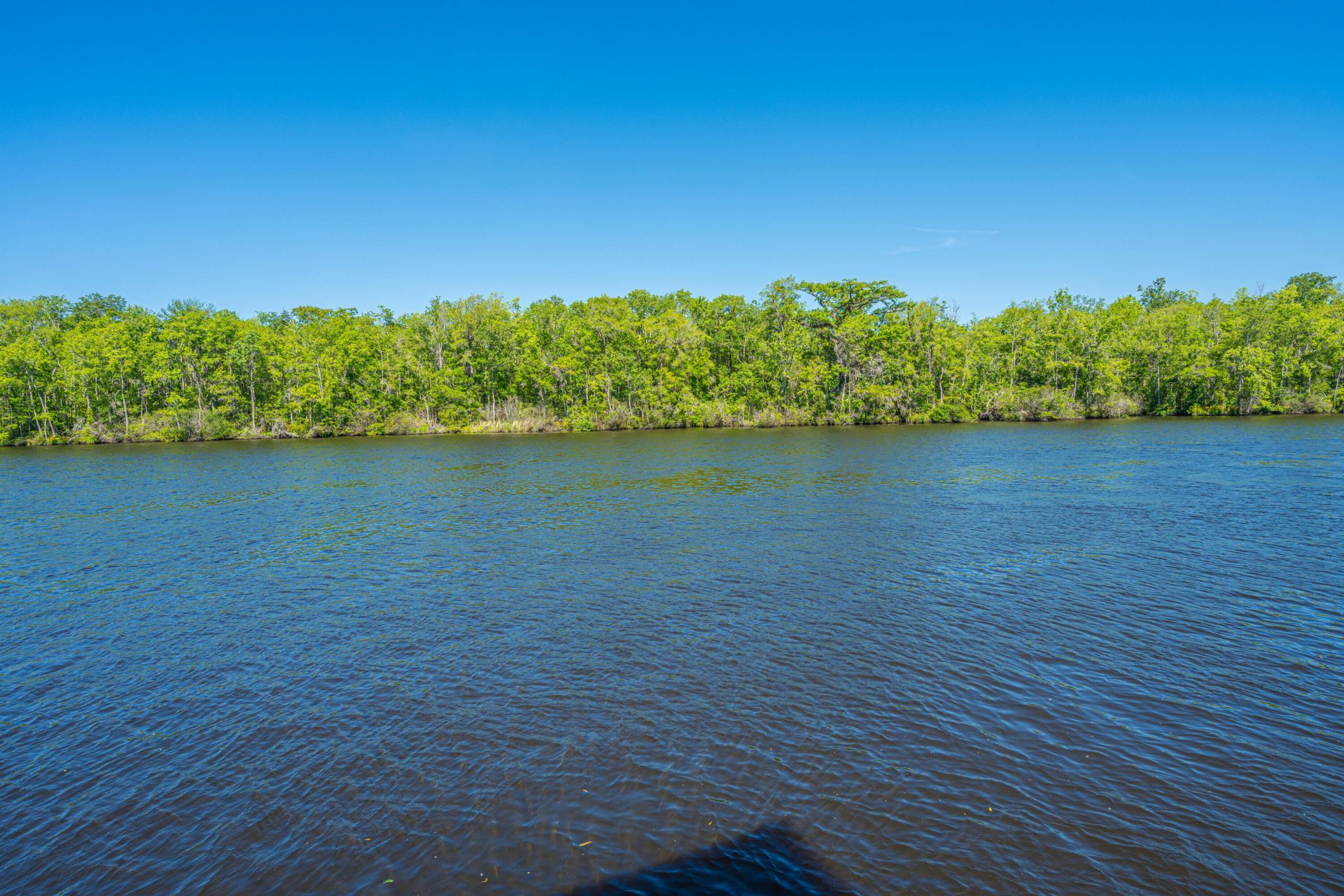 9434 Savannah Highway Photo 50