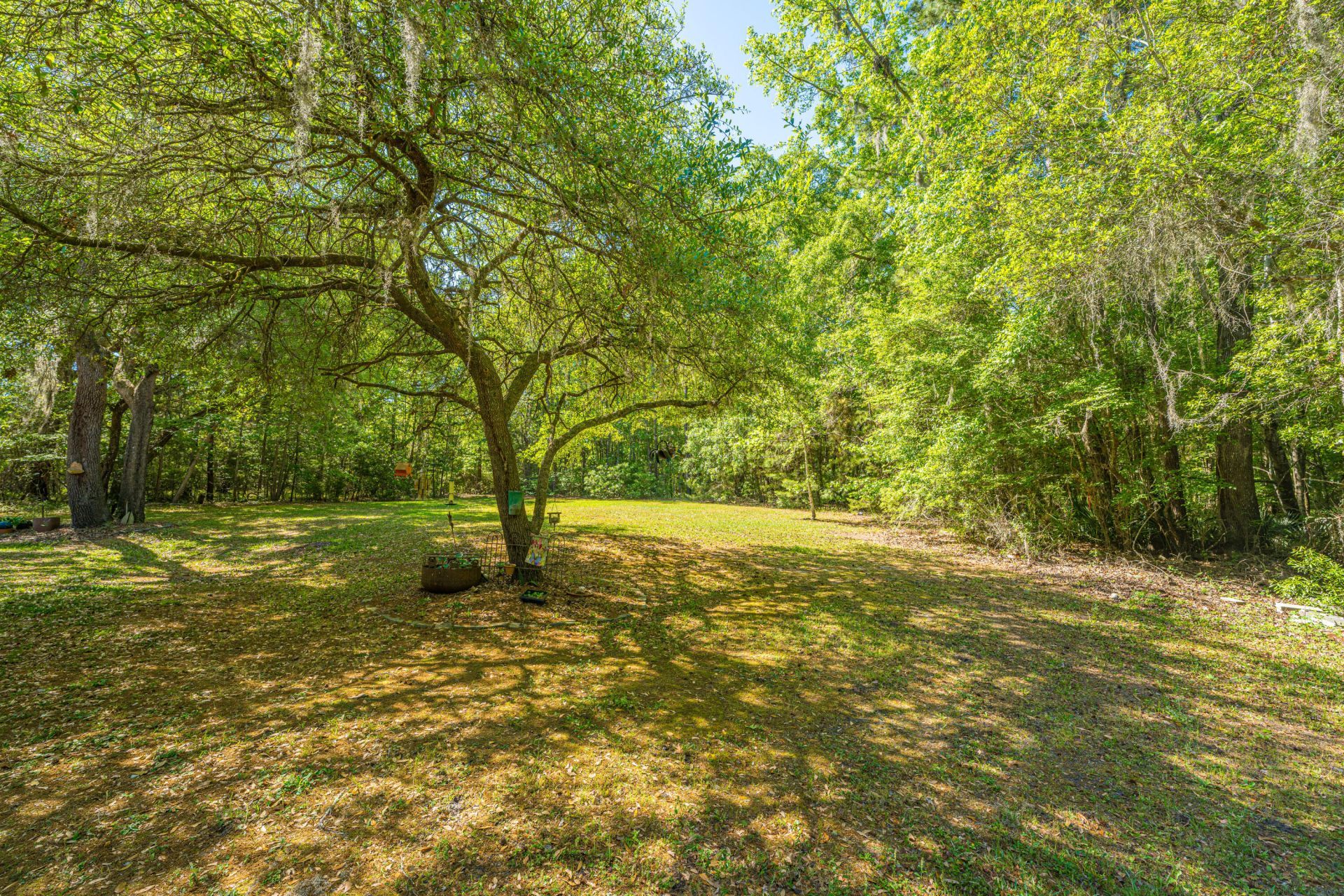 9434 Savannah Highway Photo 54