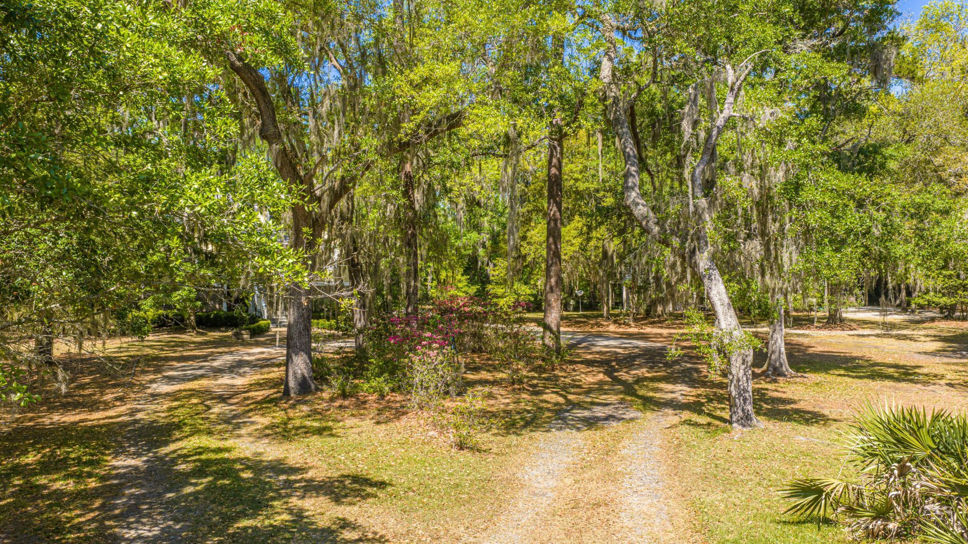 9434 Savannah Highway Photo 72