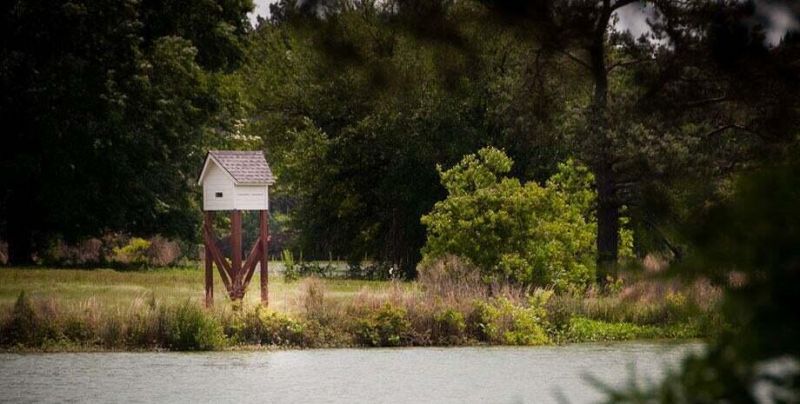 130 Sea Oats Street Photo 55