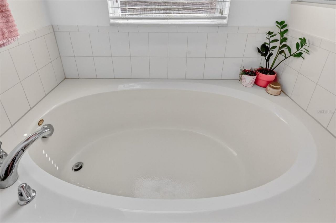 34040 Alameda Drive , Sorrento, FL 32776 Photo