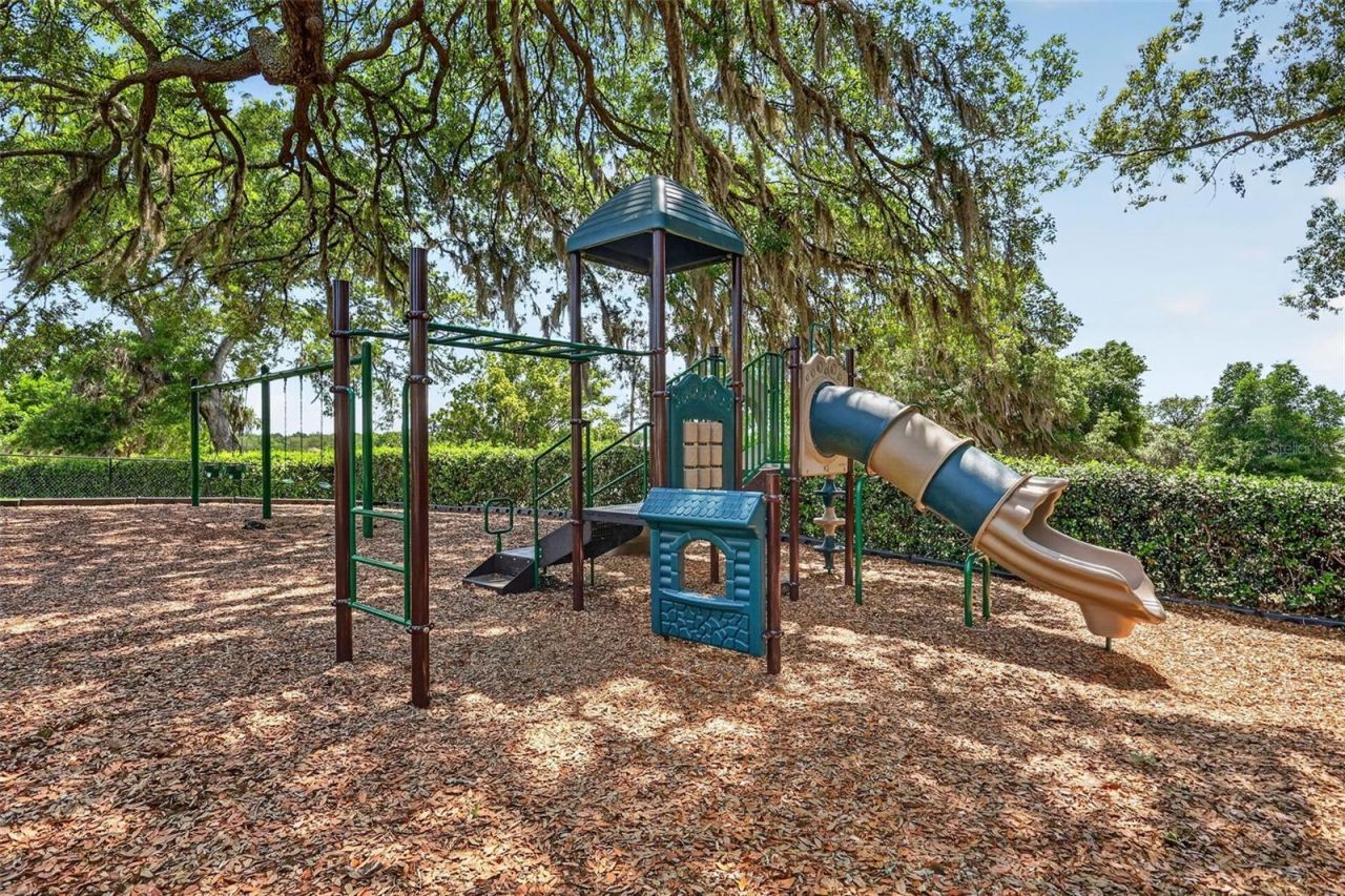 34040 Alameda Drive , Sorrento, FL 32776 Photo