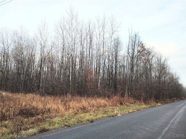 Stephens Road , Canastota, NY 13032