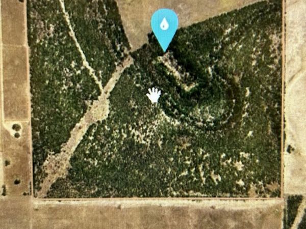 000 CR 207, Falfurrias, TX 78355