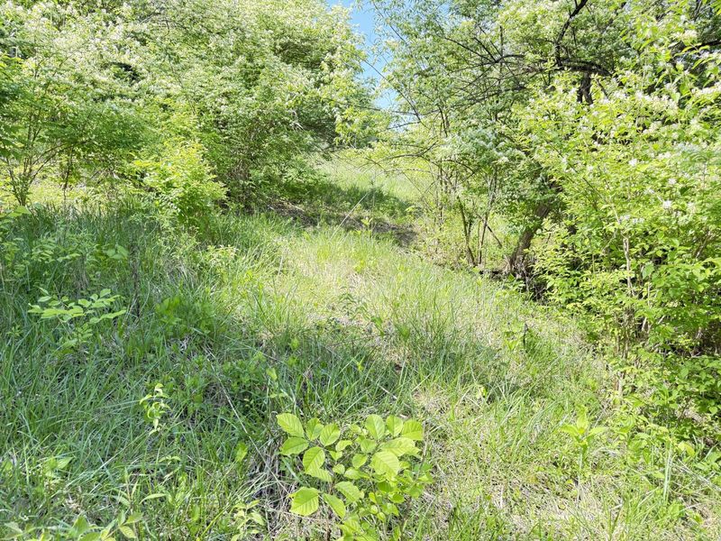 0 Hwy 1992 HWY, Warsaw, KY 41095 Photo 8