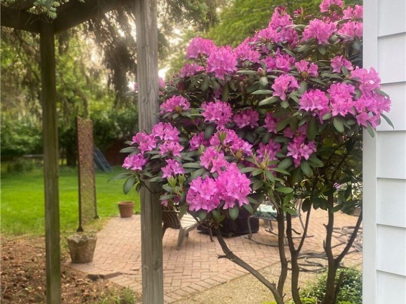 1274 Croyden Road, Lyndhurst, OH 44124 Photo 27