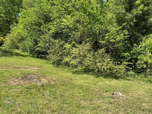 0 Brown Rd, Knoxville, TN 37920