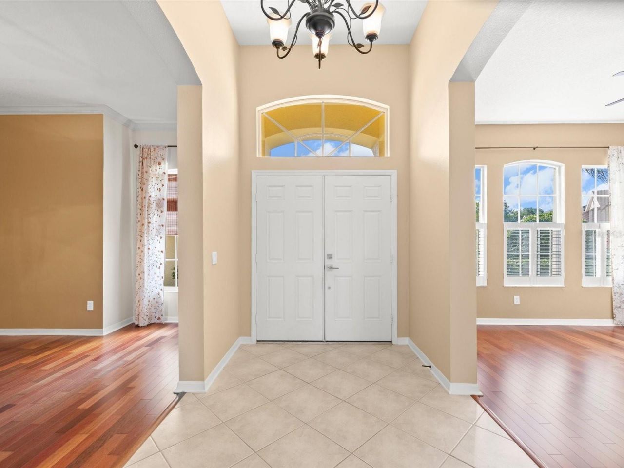 8843 Torchwood Drive , Trinity, FL 34655 Photo