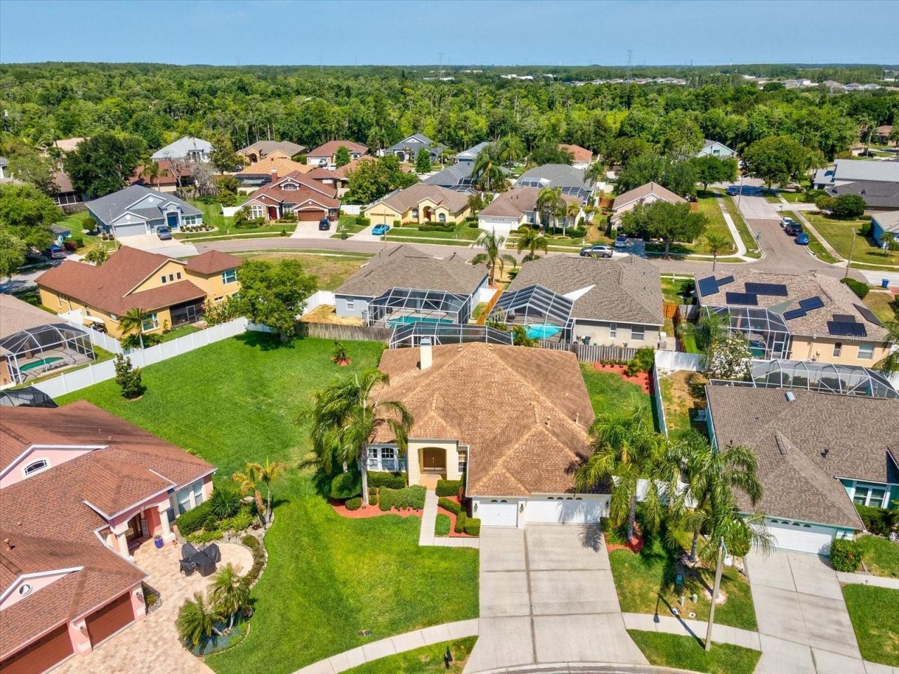 8843 Torchwood Drive , Trinity, FL 34655 Photo