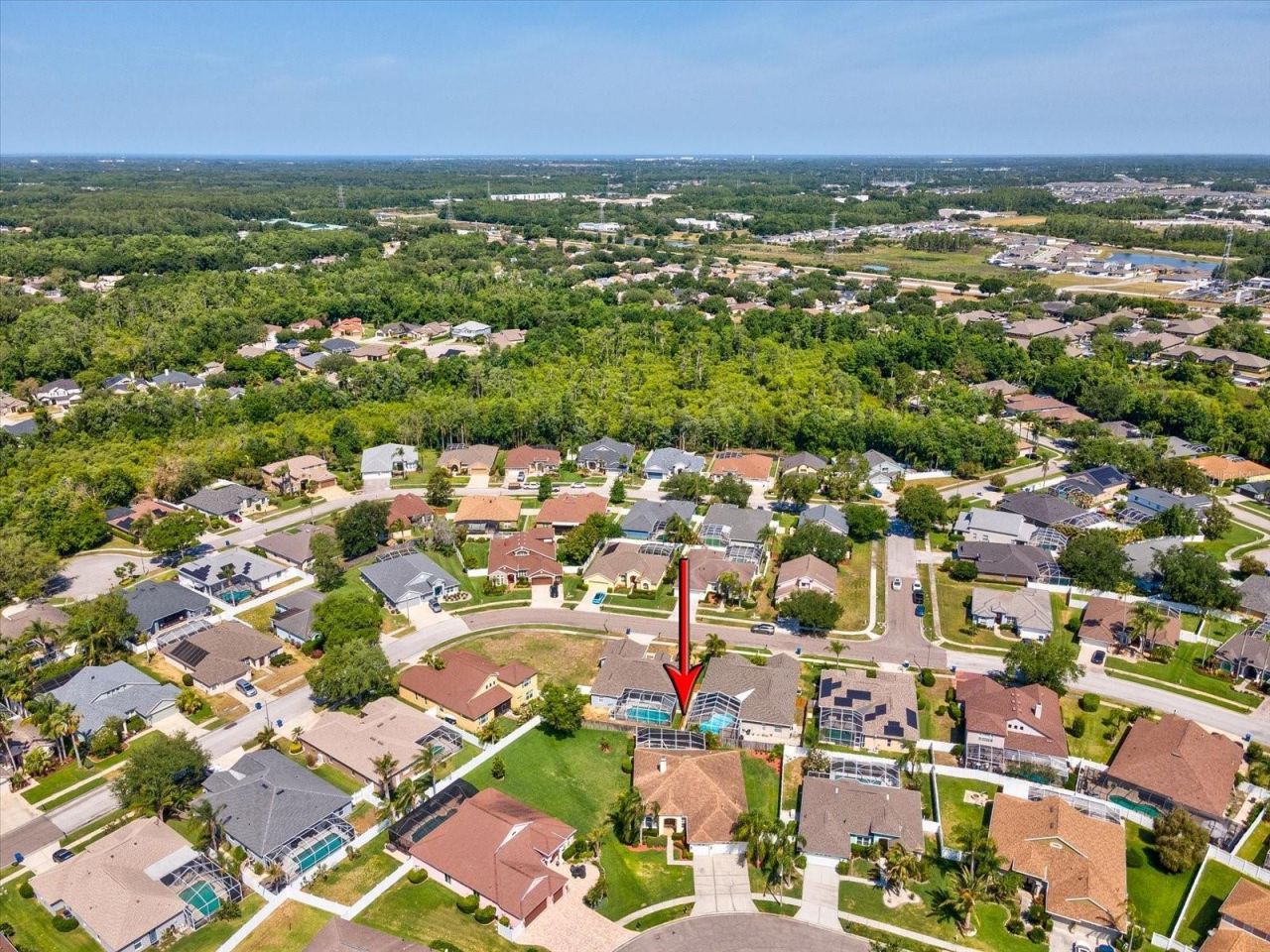 8843 Torchwood Drive , Trinity, FL 34655 Photo