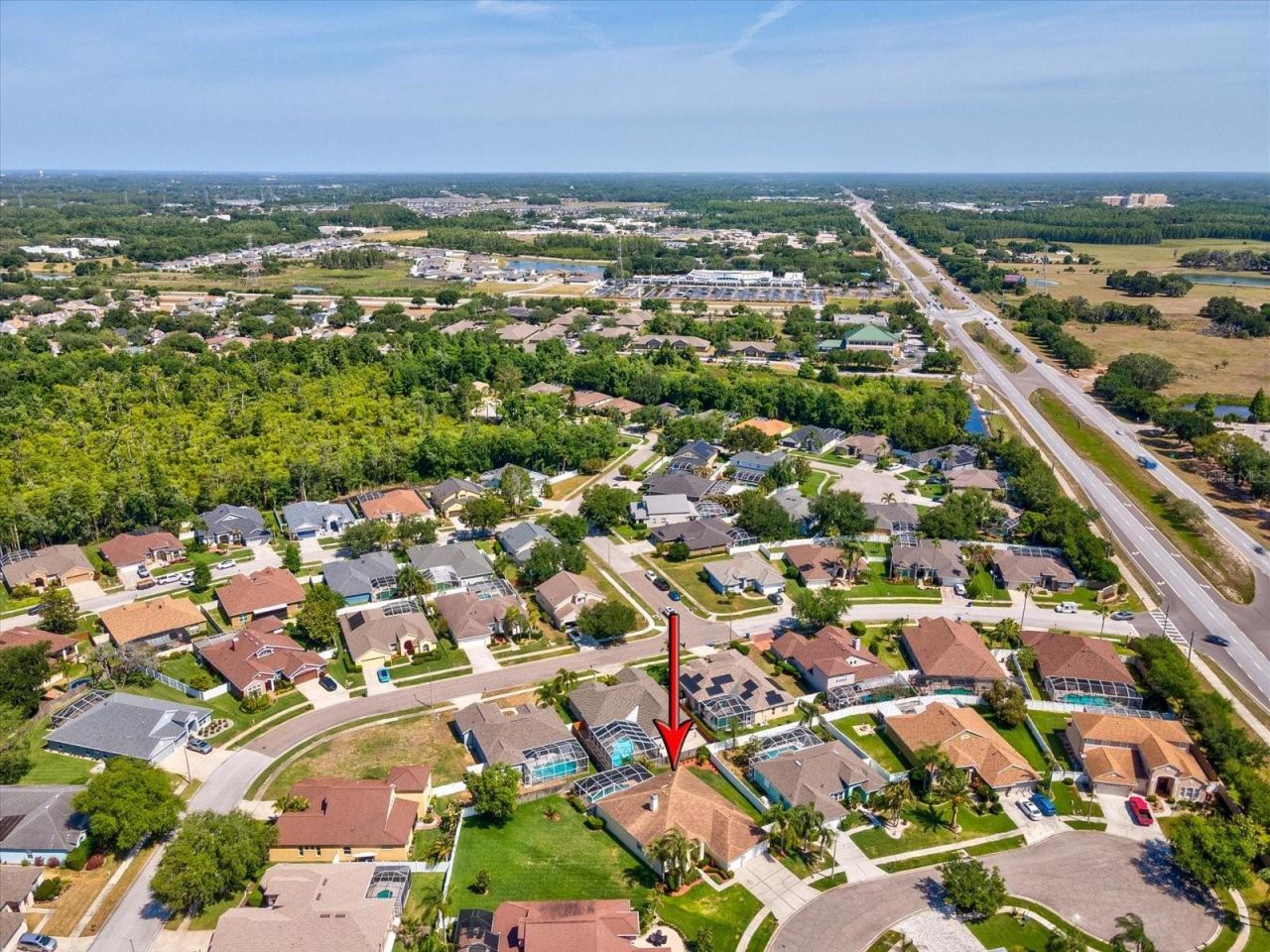 8843 Torchwood Drive , Trinity, FL 34655 Photo