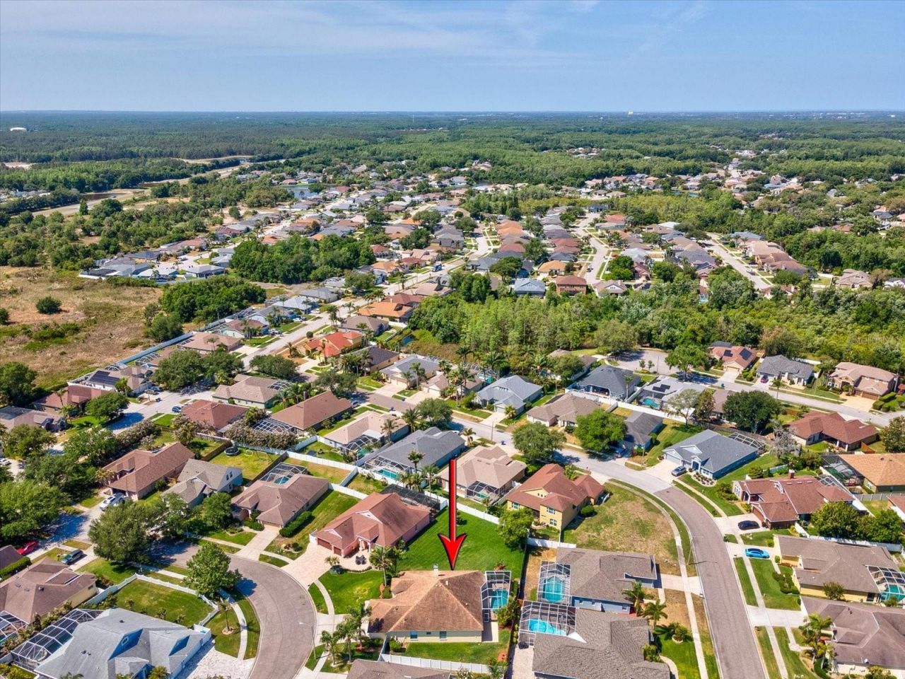 8843 Torchwood Drive , Trinity, FL 34655 Photo