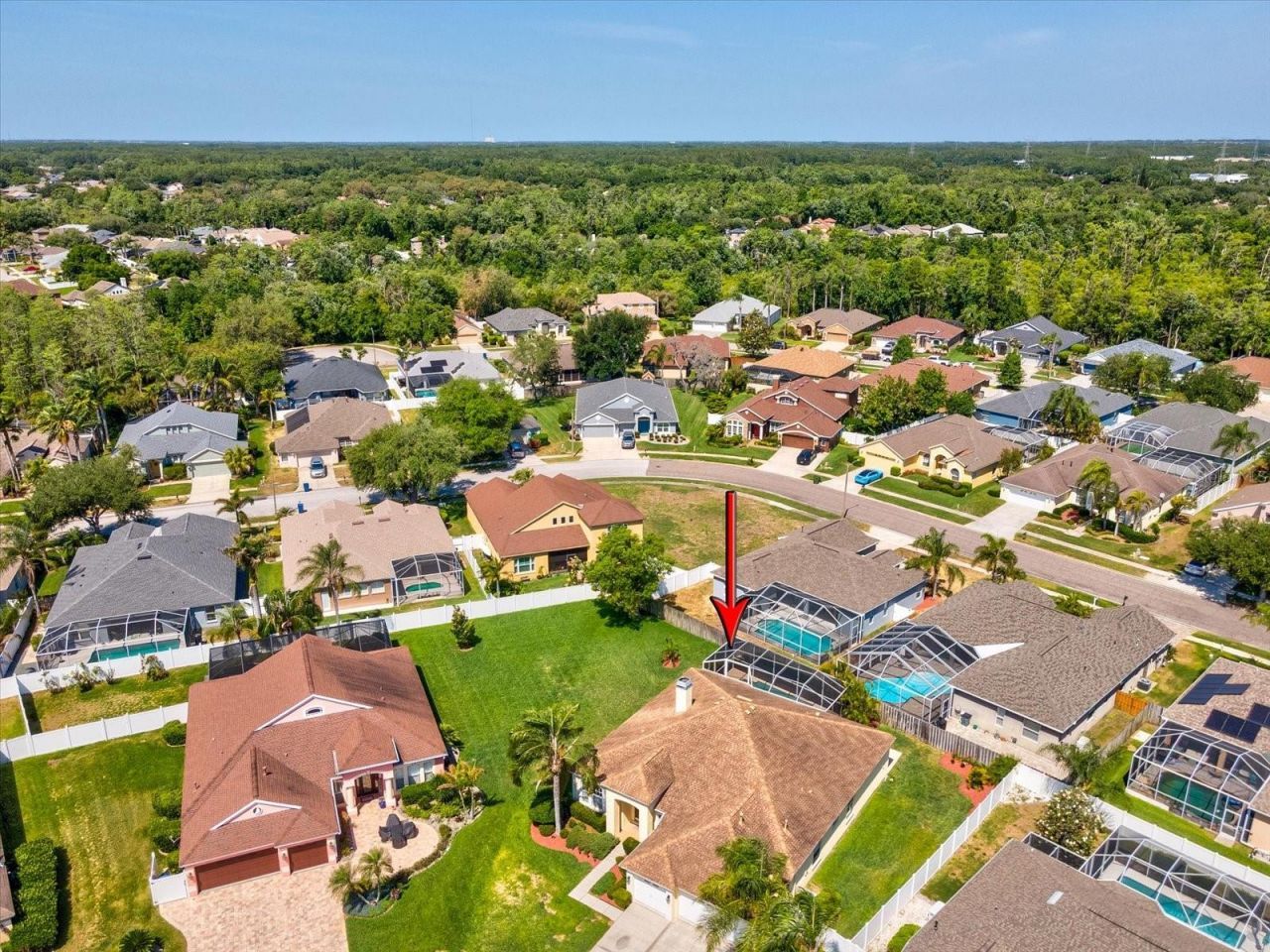 8843 Torchwood Drive , Trinity, FL 34655 Photo