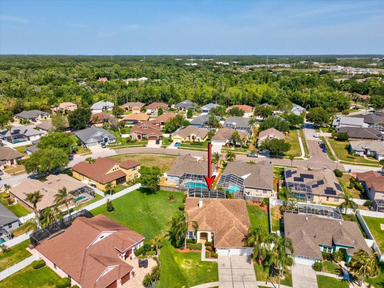 8843 Torchwood Drive , Trinity, FL 34655 Photo