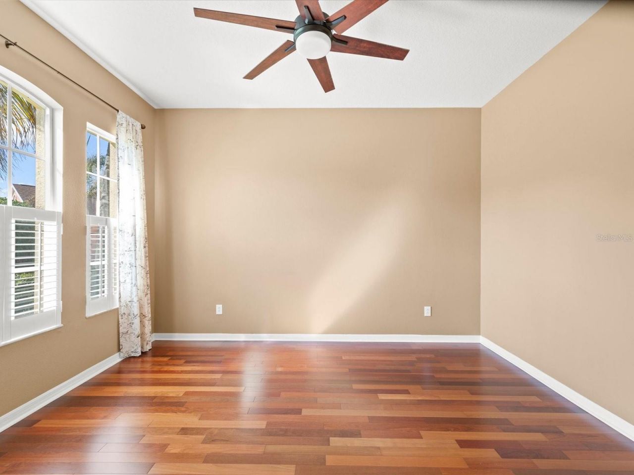 8843 Torchwood Drive , Trinity, FL 34655 Photo