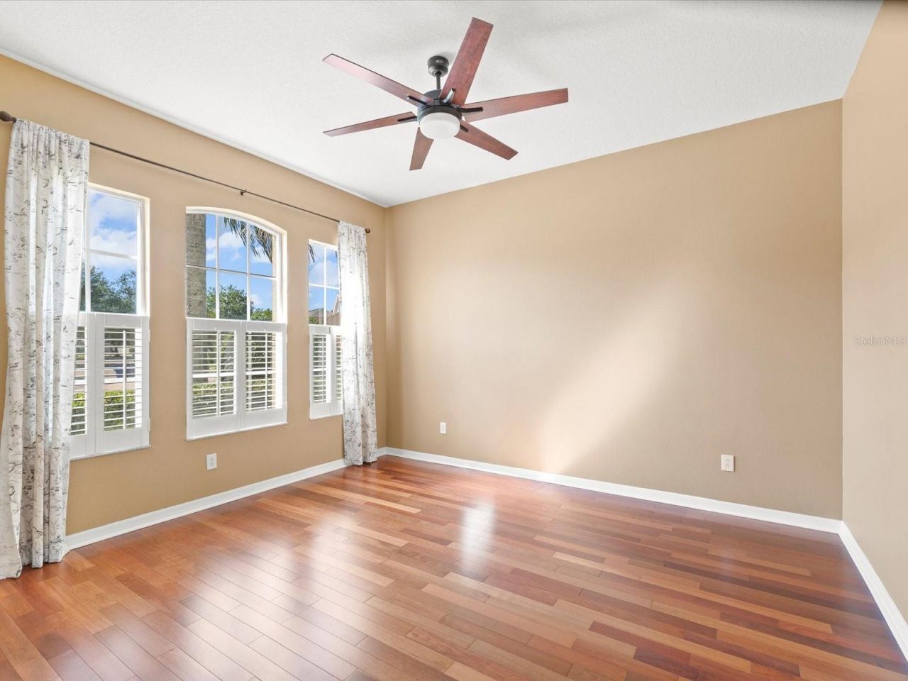 8843 Torchwood Drive , Trinity, FL 34655 Photo