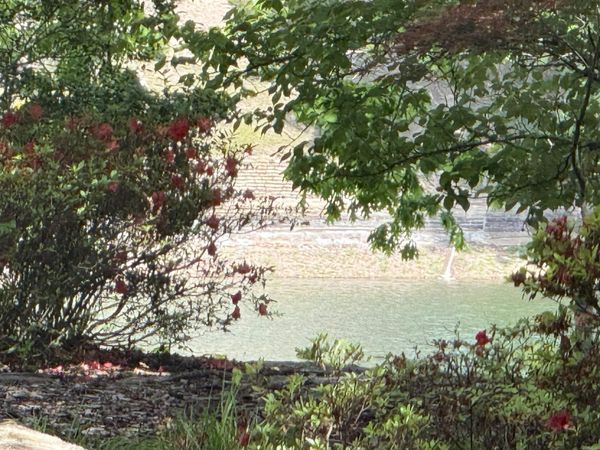 49 Marinero Way , Hot Springs Village, AR 71909