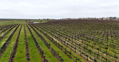 Sloughhouse Rd, Elk Grove, CA 95624 Photo