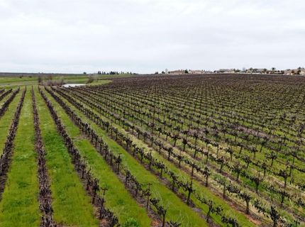 Sloughhouse Rd, Elk Grove, CA 95624 Photo