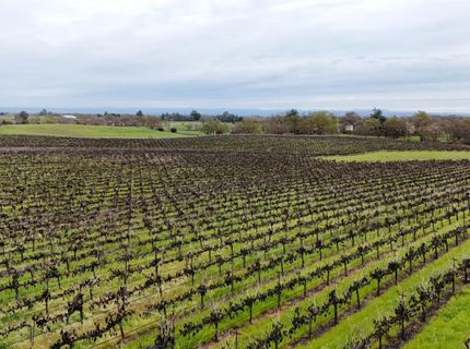 Sloughhouse Rd, Elk Grove, CA 95624 Photo