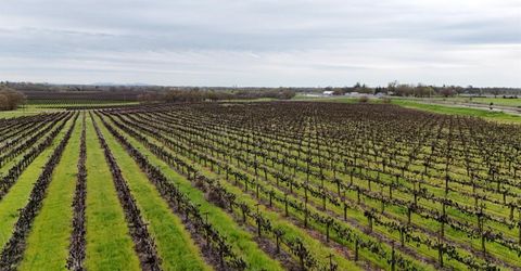Sloughhouse Rd, Elk Grove, CA 95624 Photo