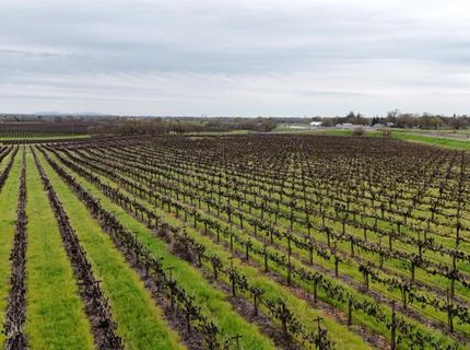 Sloughhouse Rd, Elk Grove, CA 95624 Photo