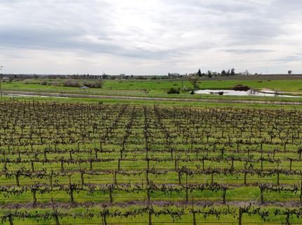 Sloughhouse Rd, Elk Grove, CA 95624 Photo