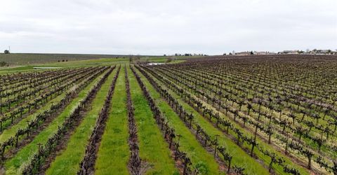 Sloughhouse Rd, Elk Grove, CA 95624 Photo