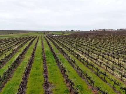 Sloughhouse Rd, Elk Grove, CA 95624 Photo