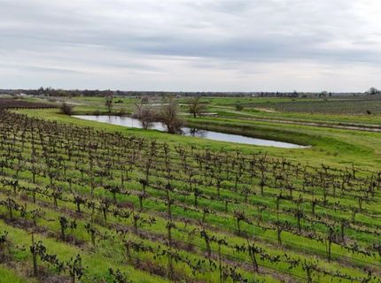 Sloughhouse Rd, Elk Grove, CA 95624 Photo