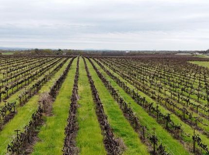 Sloughhouse Rd, Elk Grove, CA 95624 Photo