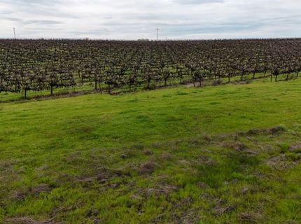 Sloughhouse Rd, Elk Grove, CA 95624 Photo