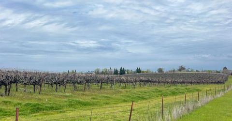 Sloughhouse Rd, Elk Grove, CA 95624 Photo
