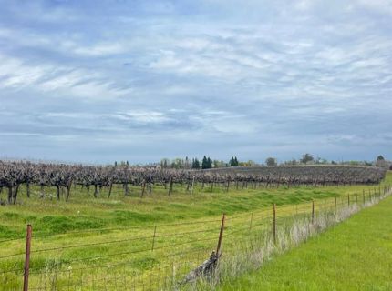 Sloughhouse Rd, Elk Grove, CA 95624 Photo