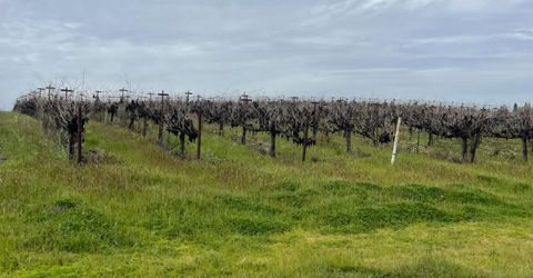 Sloughhouse Rd, Elk Grove, CA 95624 Photo