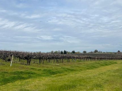 Sloughhouse Rd, Elk Grove, CA 95624 Photo