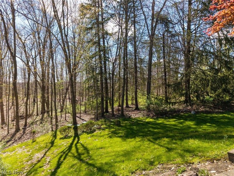 1180 Meadow Spur, Akron, OH 44333 Photo 6