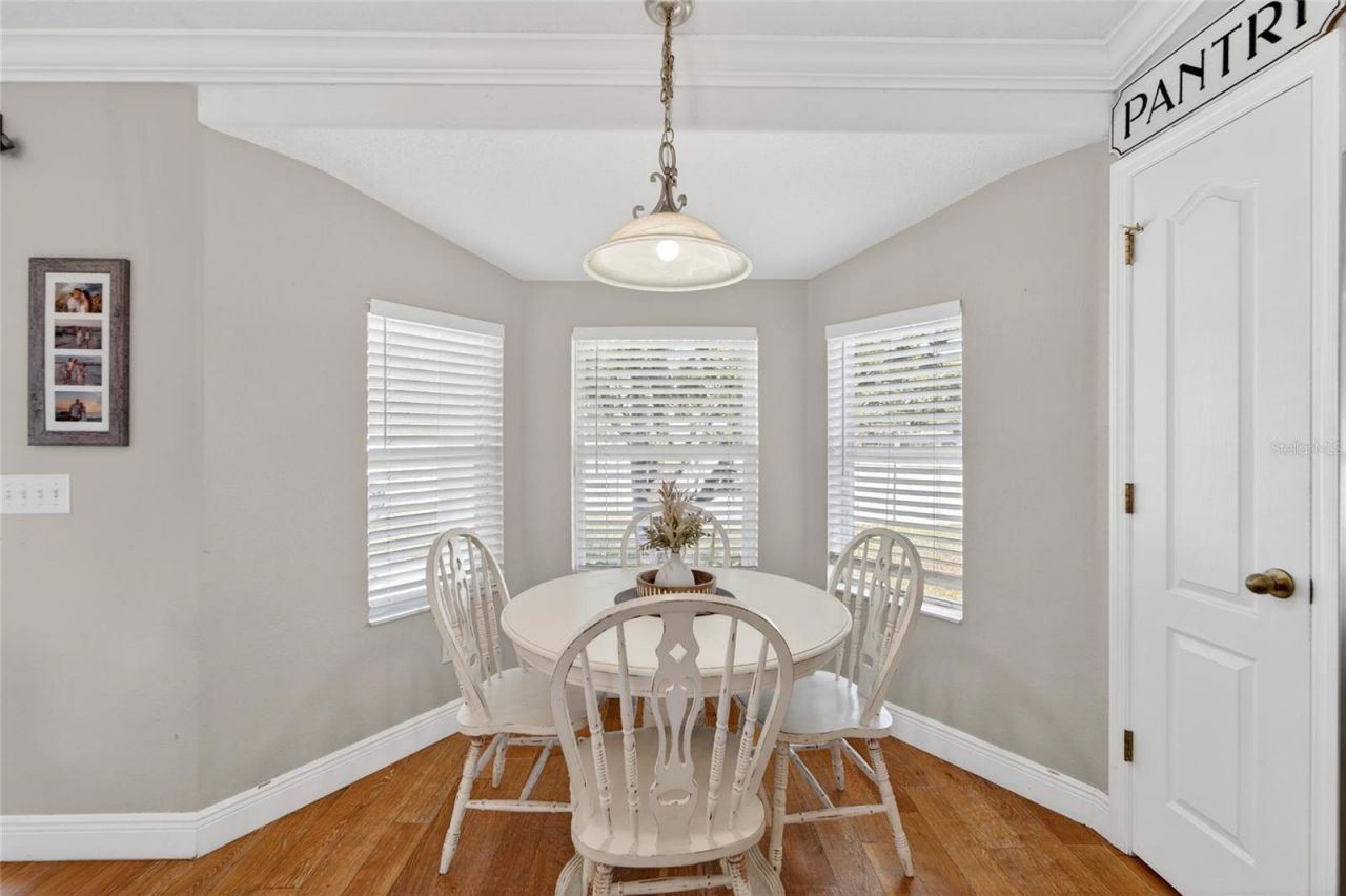 1730 Canoe Drive, Lutz, FL 33559 Photo