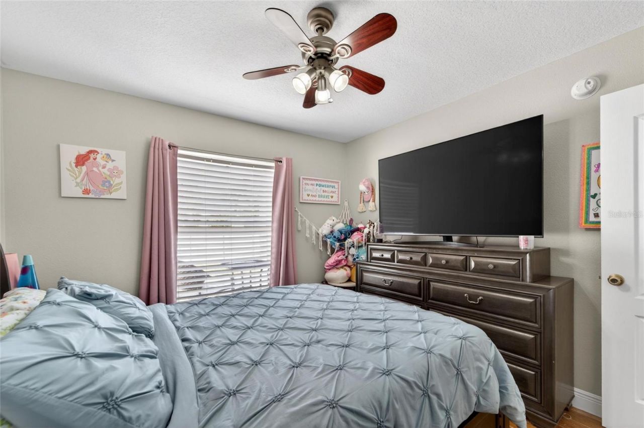 1730 Canoe Drive, Lutz, FL 33559 Photo