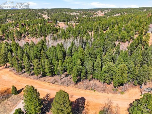 278 Cherry Lake Drive, Divide, CO 80814