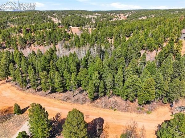 278 Cherry Lake Drive, Divide, CO 80814