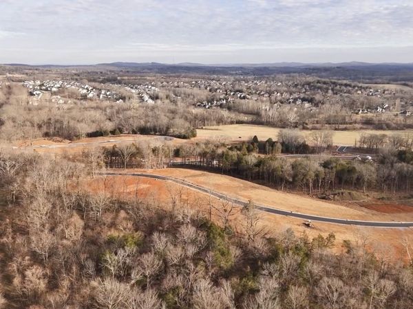 1540 Divine Court, Arrington, TN 37014