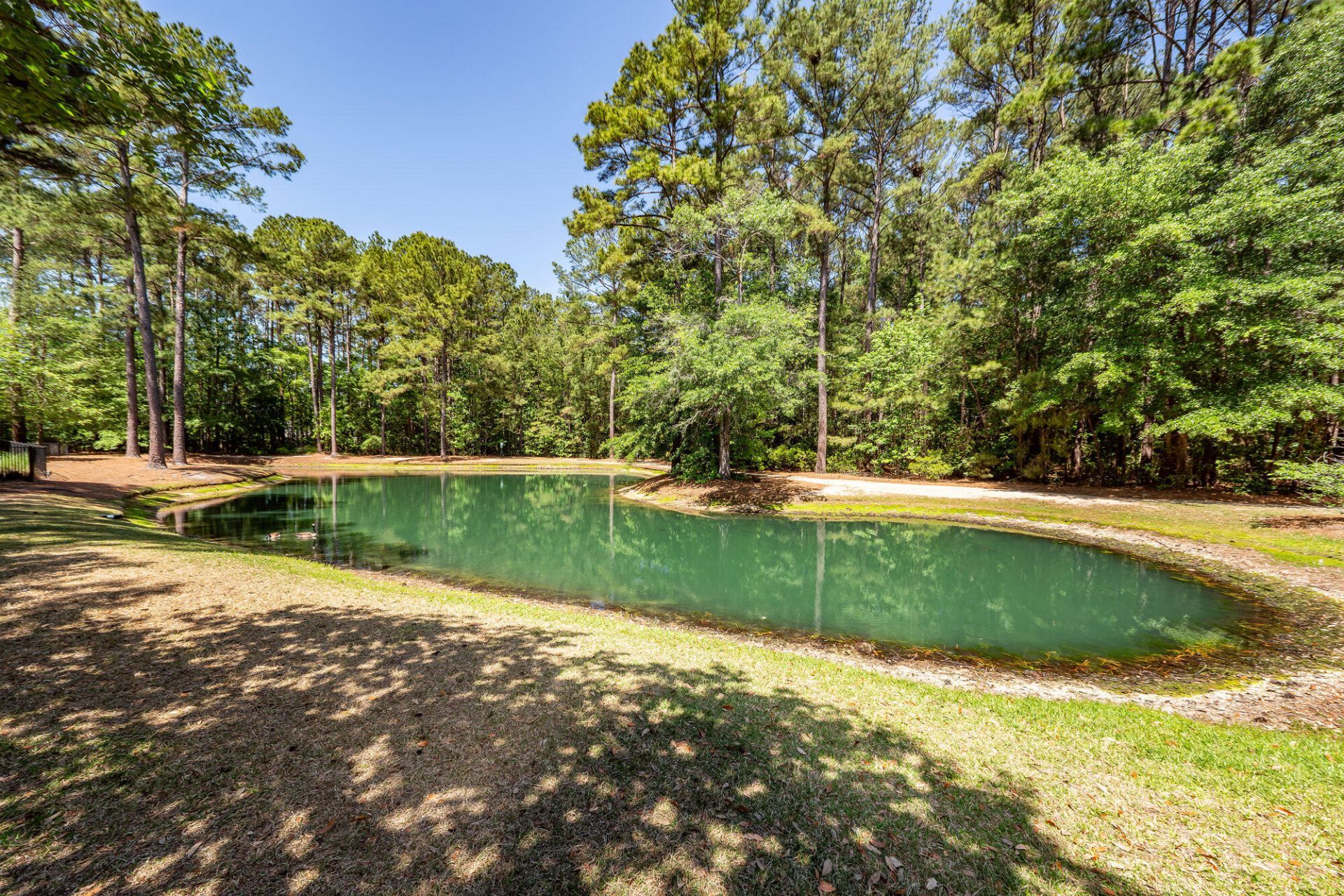 4805 Shady Tree Lane Photo 45