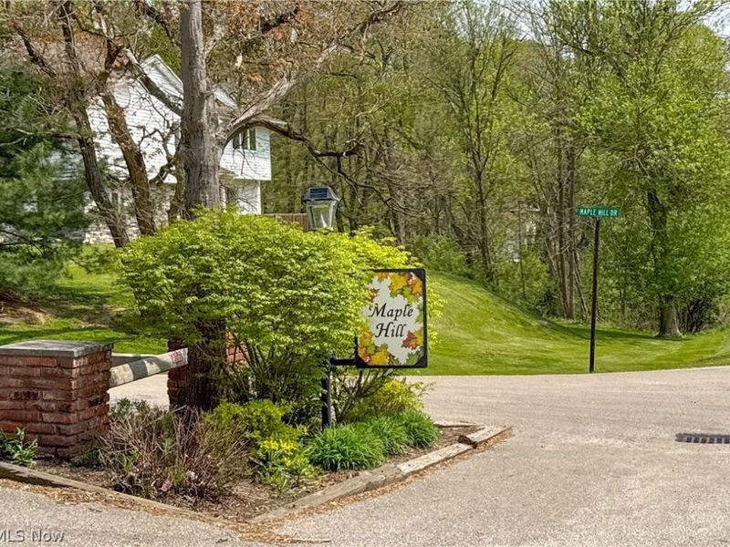 75 Maple Hill Drive, Chagrin Falls, OH 44022 Photo 33