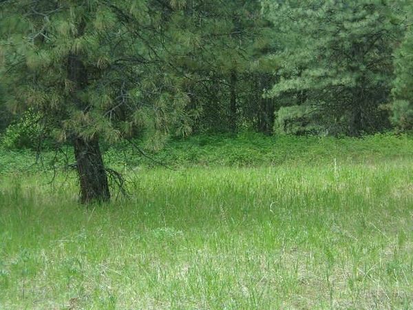 X11X Hoag Rd, Valley, WA 99181