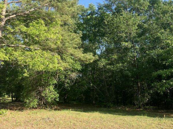 227 River Ridge Drive , Wallace, NC 28466