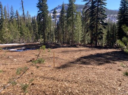 8715 Johnson Pass Road, Twin Bridges, CA 96150 Photo